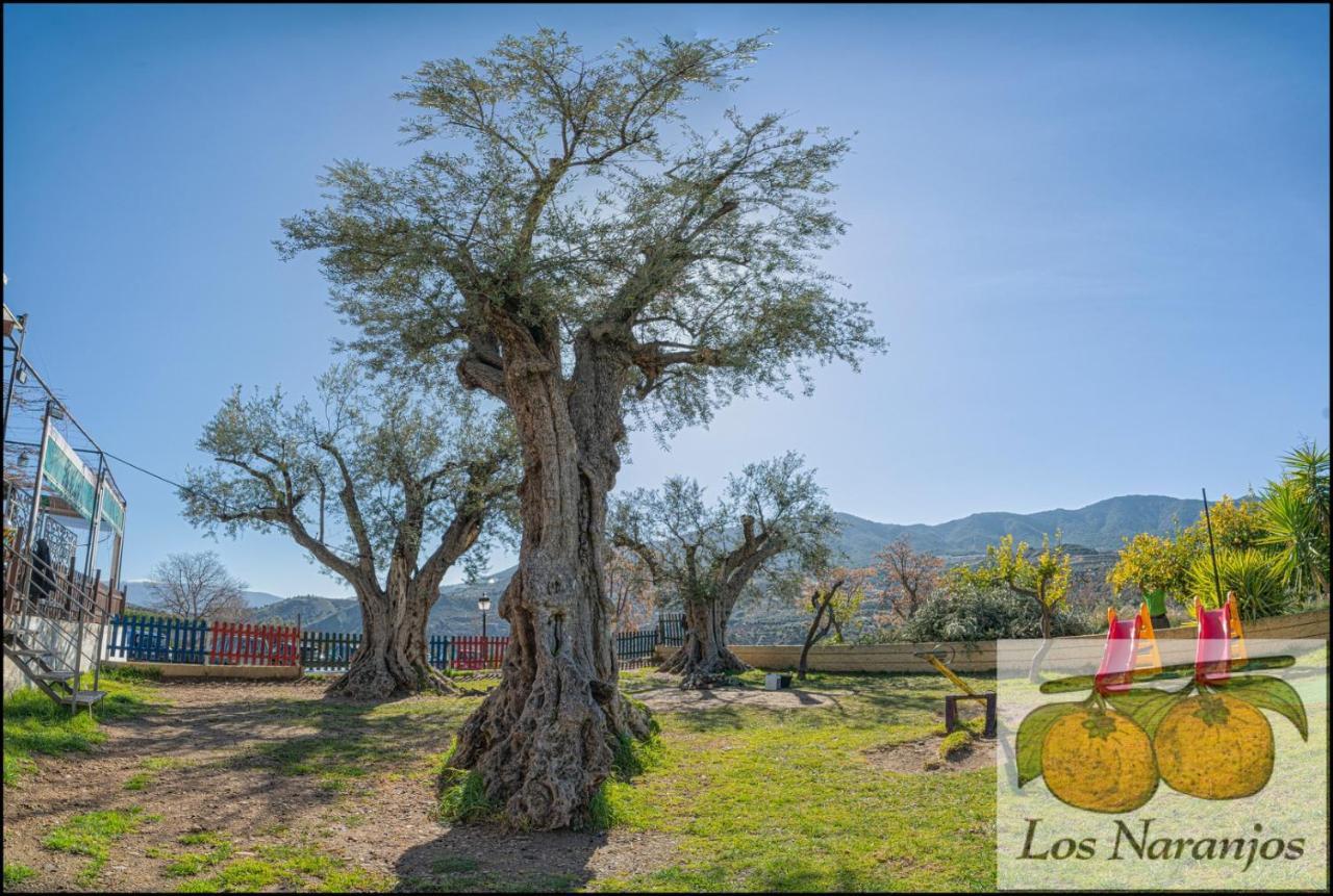Hostal Y Apartamento Rural Los Naranjos Melegis Екстер'єр фото