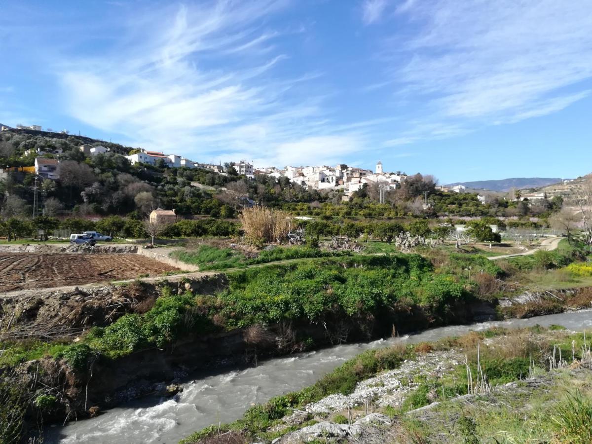 Hostal Y Apartamento Rural Los Naranjos Melegis Екстер'єр фото