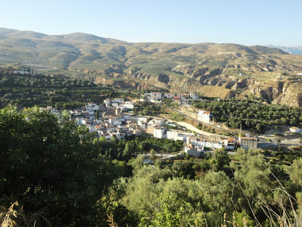 Hostal Y Apartamento Rural Los Naranjos Melegis Номер фото
