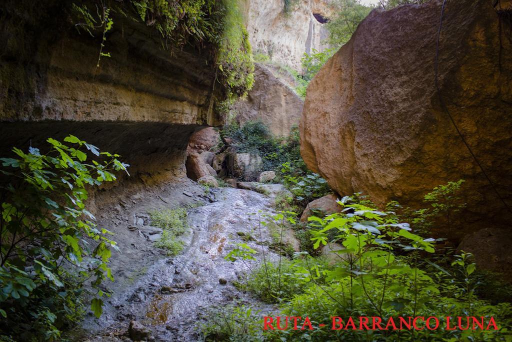 Hostal Y Apartamento Rural Los Naranjos Melegis Екстер'єр фото