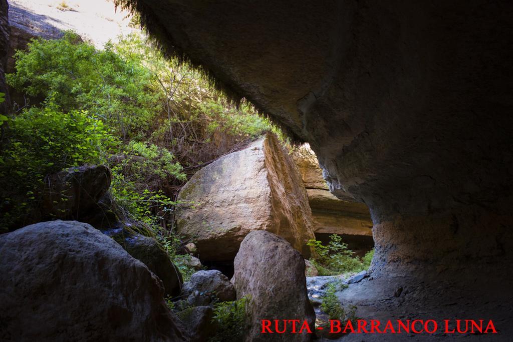 Hostal Y Apartamento Rural Los Naranjos Melegis Екстер'єр фото
