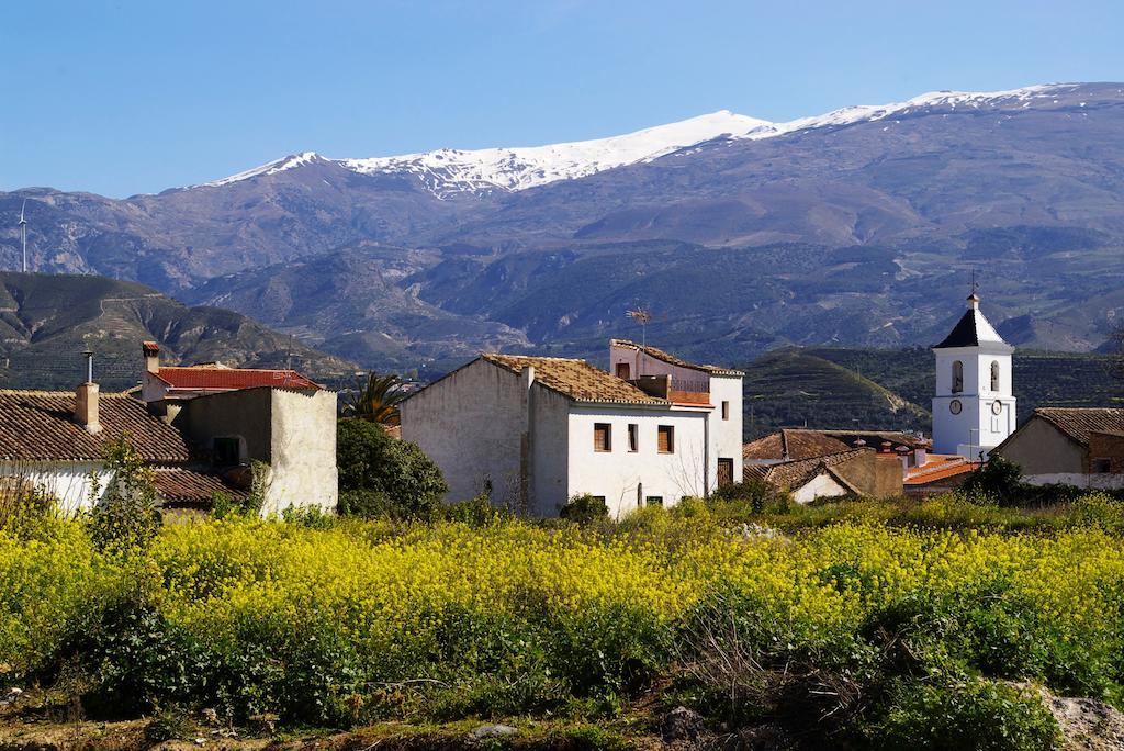 Hostal Y Apartamento Rural Los Naranjos Melegis Екстер'єр фото