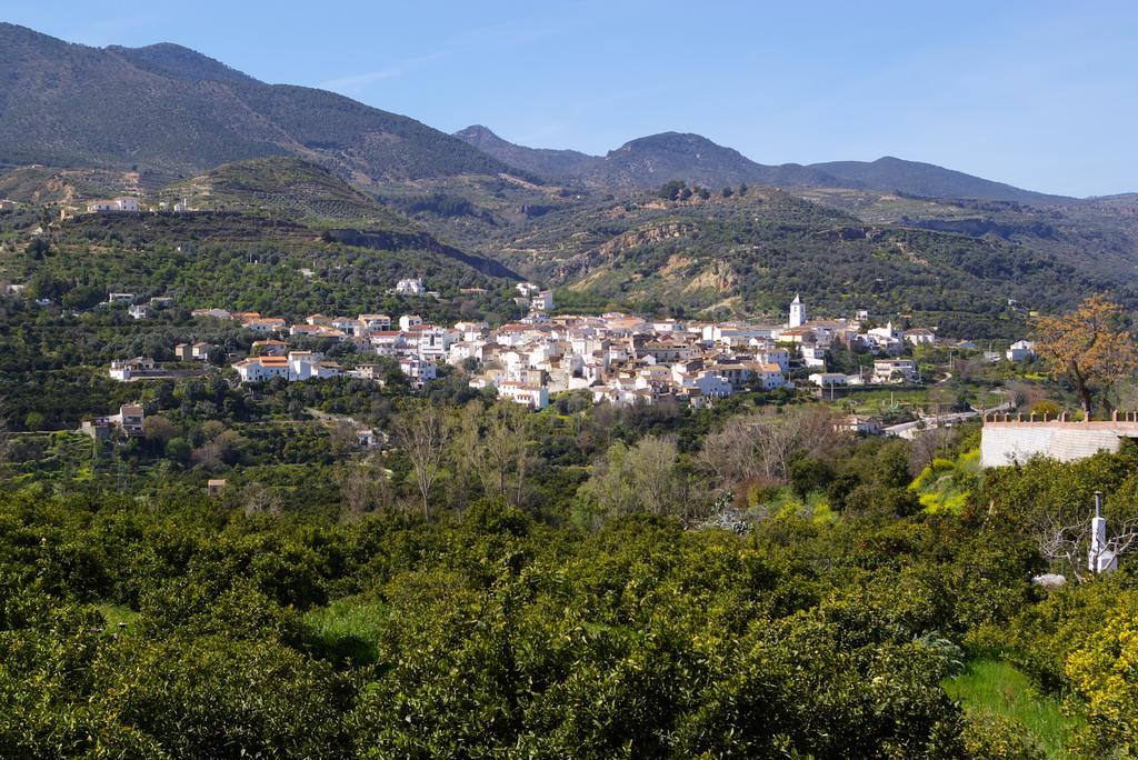 Hostal Y Apartamento Rural Los Naranjos Melegis Номер фото