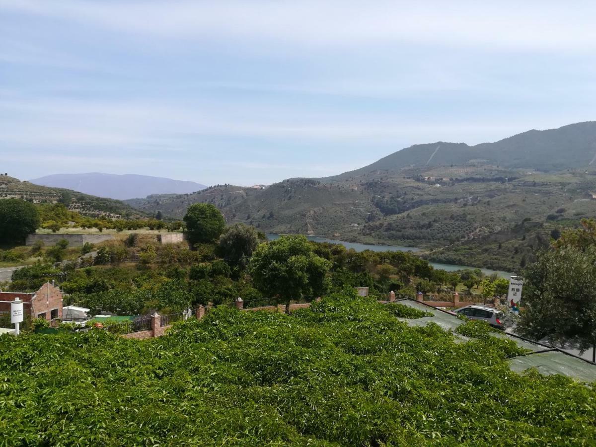 Hostal Y Apartamento Rural Los Naranjos Melegis Екстер'єр фото